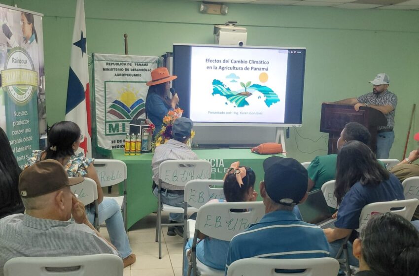  Productores de Coclé fortalecen capacidades en manejo de cultivos y sanidad animal