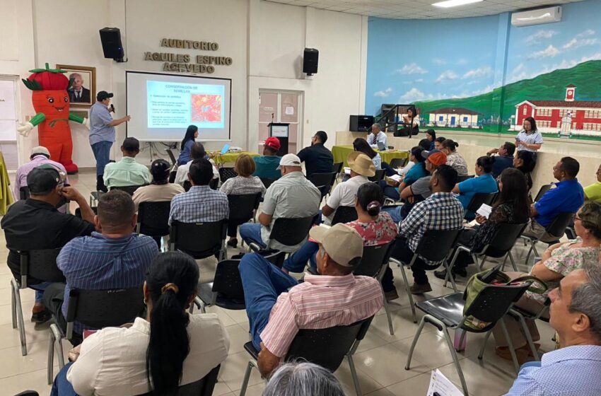  Impulsan huertos escolares en Los Santos para fortalecer la nutrición y el aprendizaje sostenible