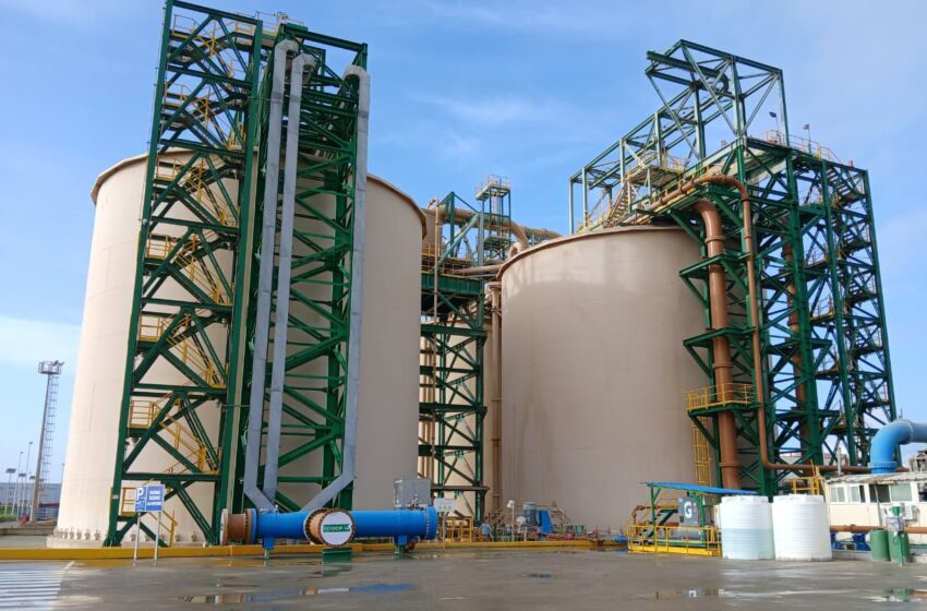  Panamá recibirá fertilizantes donados por Marruecos para fortalecer la producción de pequeños agricultores