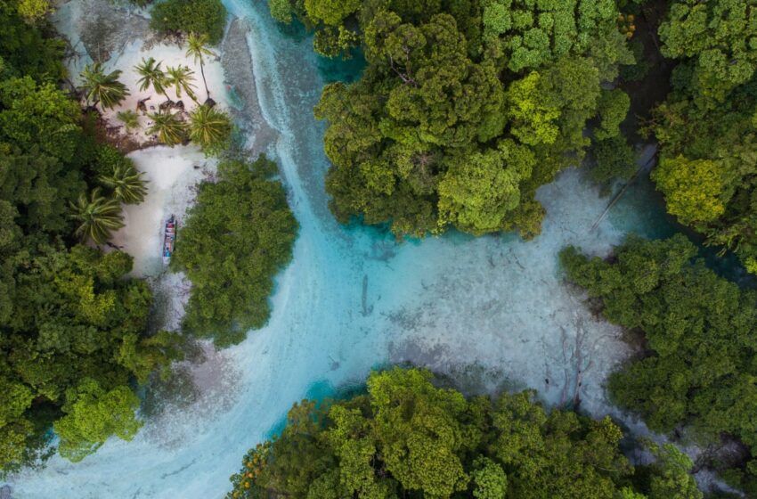  Administración del Paisaje Protegido Isla Escudo de Veraguas–Degó pasa de forma permanente a la Regional de la Comarca Ngäbe Buglé