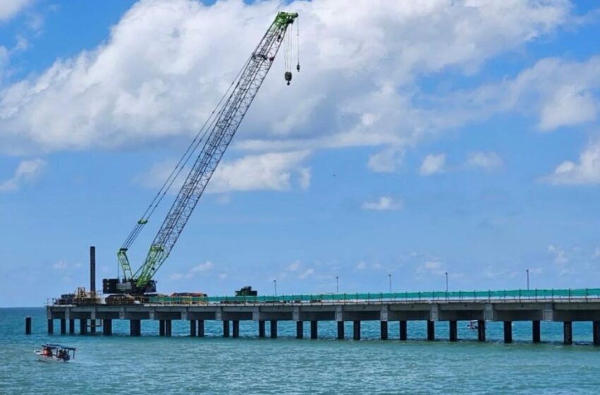  Biólogos detectan especies marinas asociadas a arrecifes en área del nuevo muelle de Puerto Armuelles