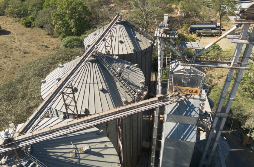  Industria molinera pide aumentar importación de arroz para garantizar abastecimiento y enfrentar riesgos climáticos