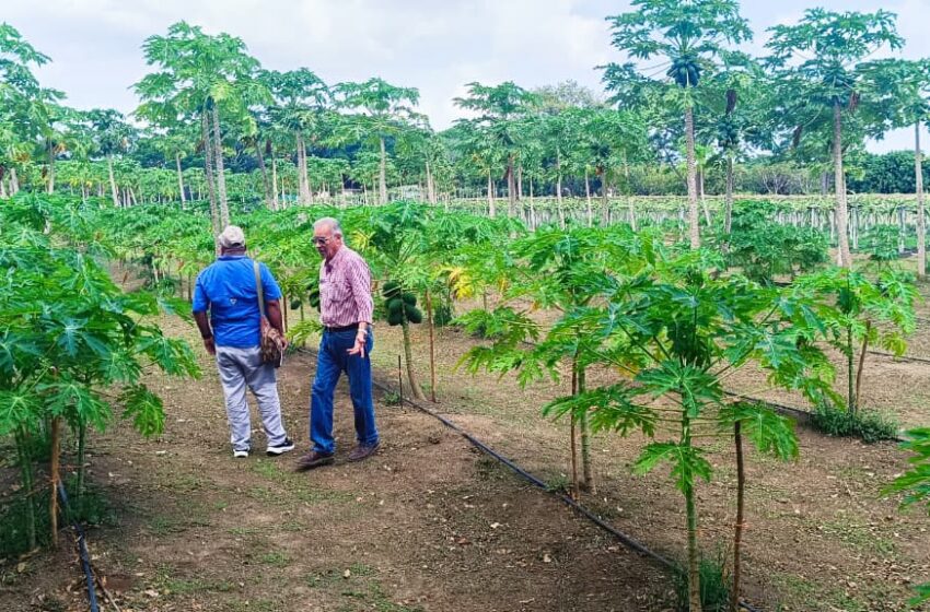  MIDA fortalece certificación y desarrollo de fincas agroturísticas en Panamá Oeste