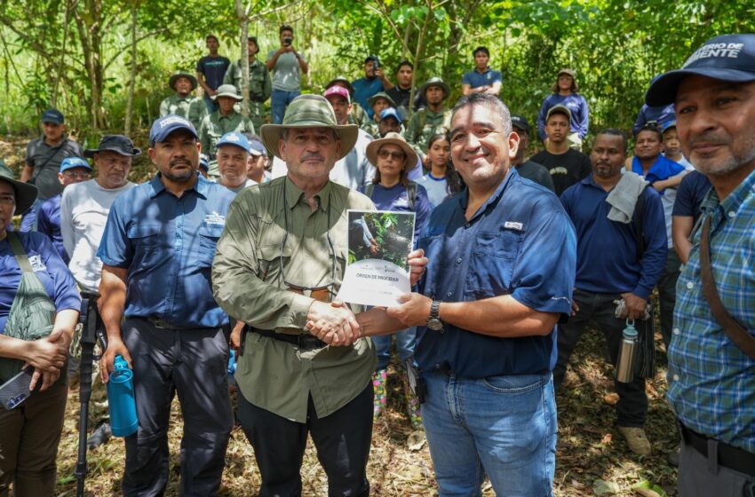  MiAMBIENTE lanza campaña nacional de reforestación 2026 desde el Parque Nacional Soberanía