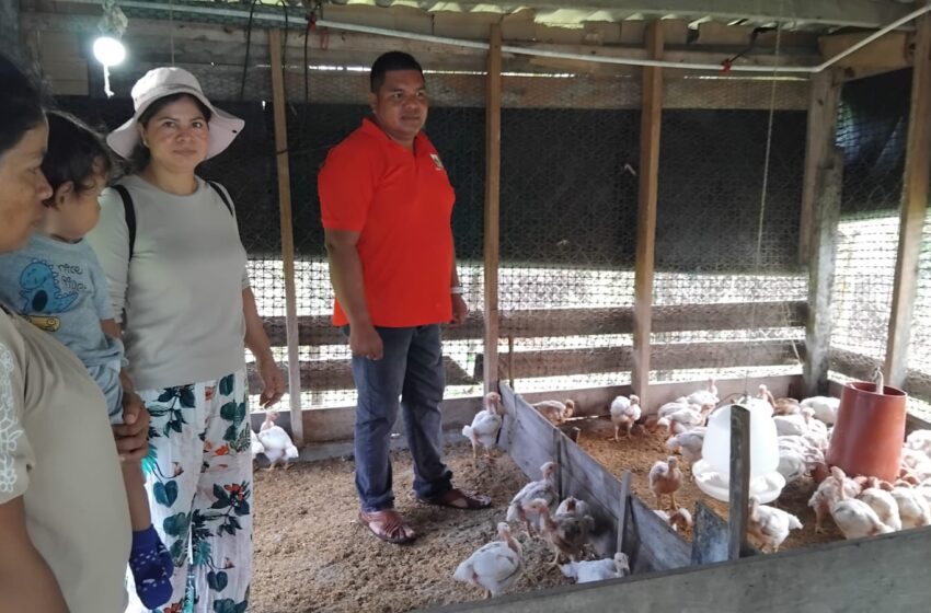  Productores de Donoso se capacitan en manejo ganadero y agricultura sostenible