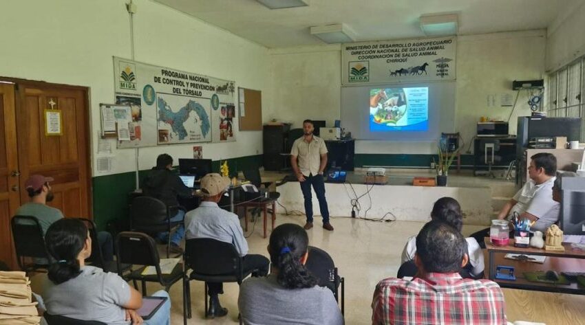  MIDA fortalece la producción acuícola con capacitación en sanidad y bioseguridad para productores de tilapia