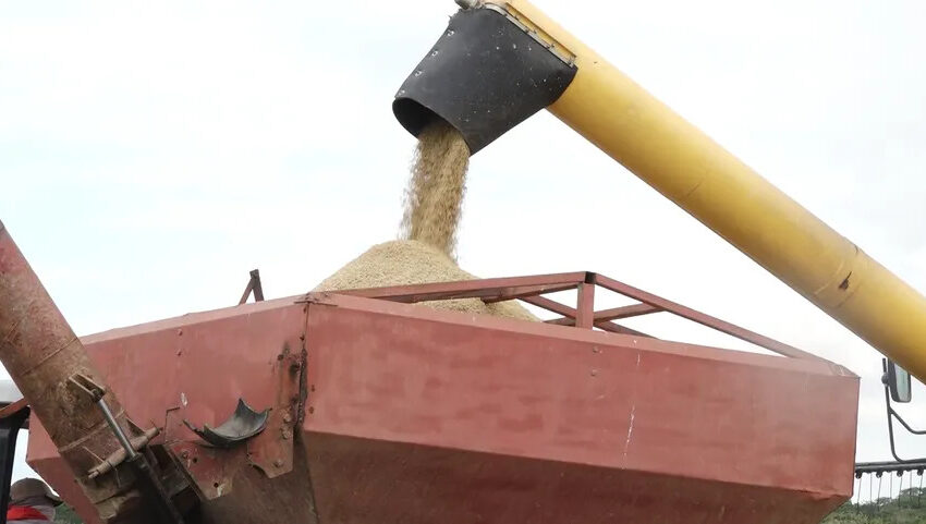  Gabinete aprueba importación adicional de arroz para garantizar abastecimiento