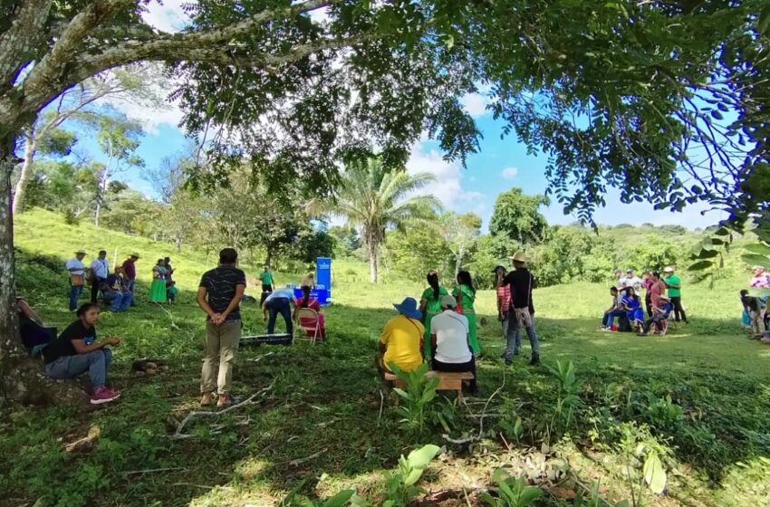  Comunidades de la comarca Ngäbe Buglé se unen a jornada de reforestación para restaurar áreas verdes