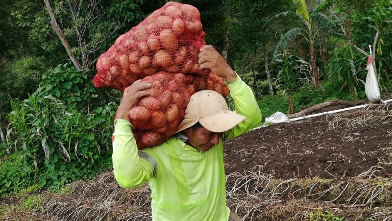  Acuerdo entre Panamá y Costa Rica refuerza la protección sanitaria de trabajadores agrícolas Ngäbe-Buglé