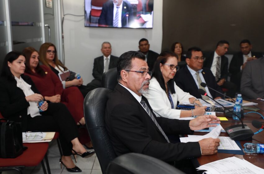  BDA proyecta beneficiar a más de 2,940 pequeños productores con créditos blandos en 2027