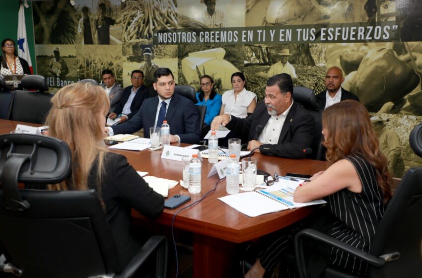  BDA solicita hasta B/.20 millones para financiar préstamos a pequeños productores
