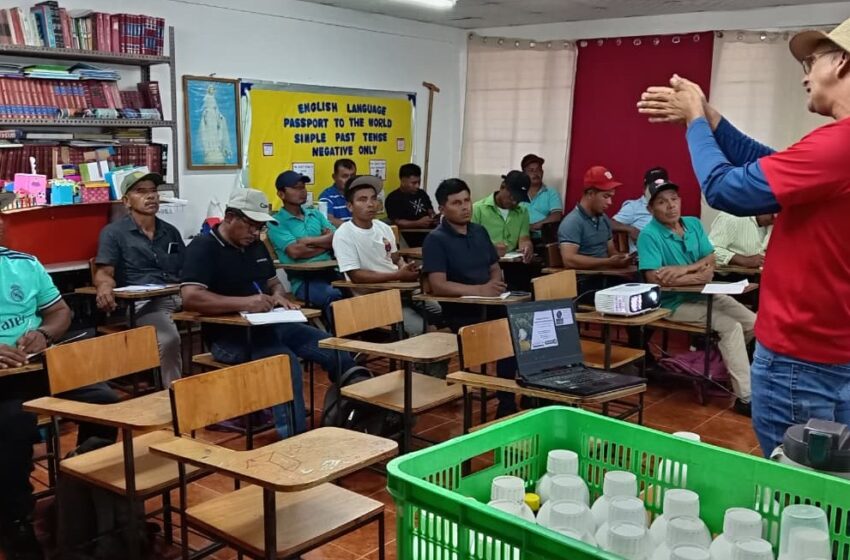 Productores de Veraguas fortalecen sus conocimientos para el cultivo sostenible de guandú morado