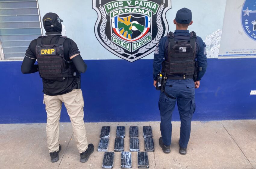  Decomisan 11 paquetes con presunta droga ocultos en un lote baldío en Utivé