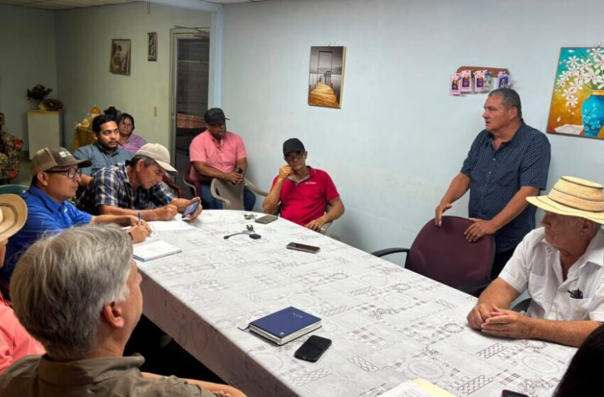  Productores de tomate industrial buscan fortalecer la competitividad del rubro en Los Santos