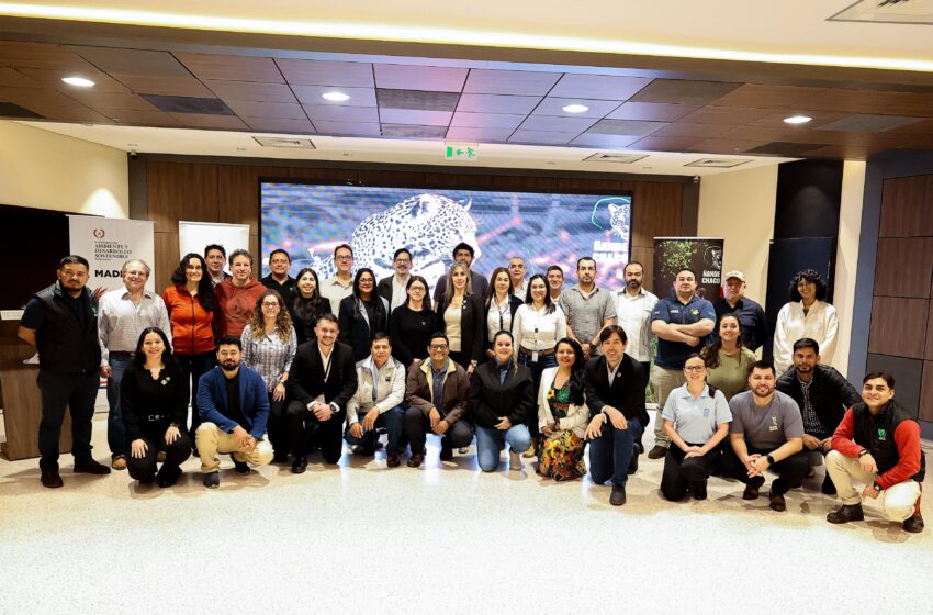 Expertos internacionales se reúnen en Paraguay por la conservación del jaguar