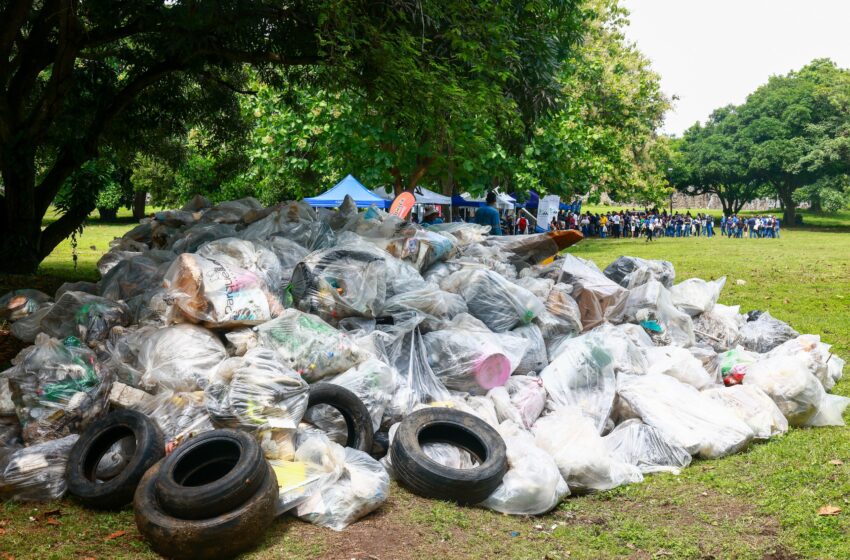  MiAMBIENTE lidera la 35.ª Jornada Nacional de Limpieza de Playas para combatir la contaminación marina