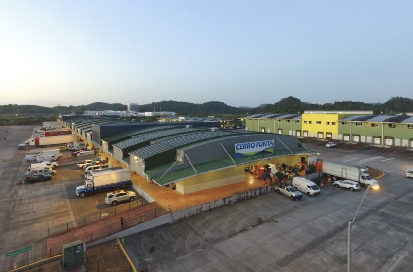  Minsa detecta 34 casos de malaria en trabajadores informales de Merca Panamá